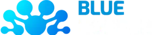 BlueHopper Store